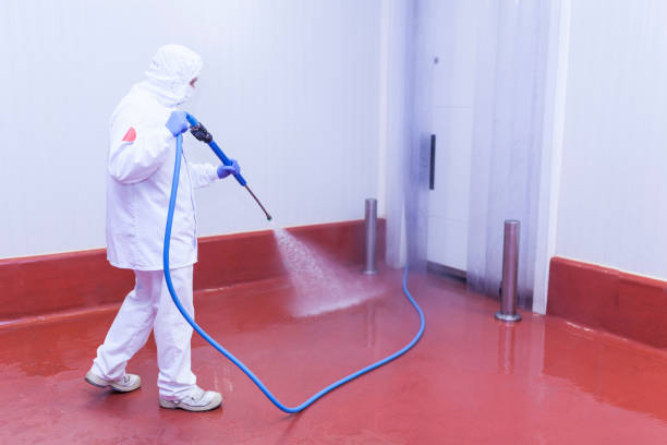Best Restaurant Pressure Washing  in Cold Spring, MN